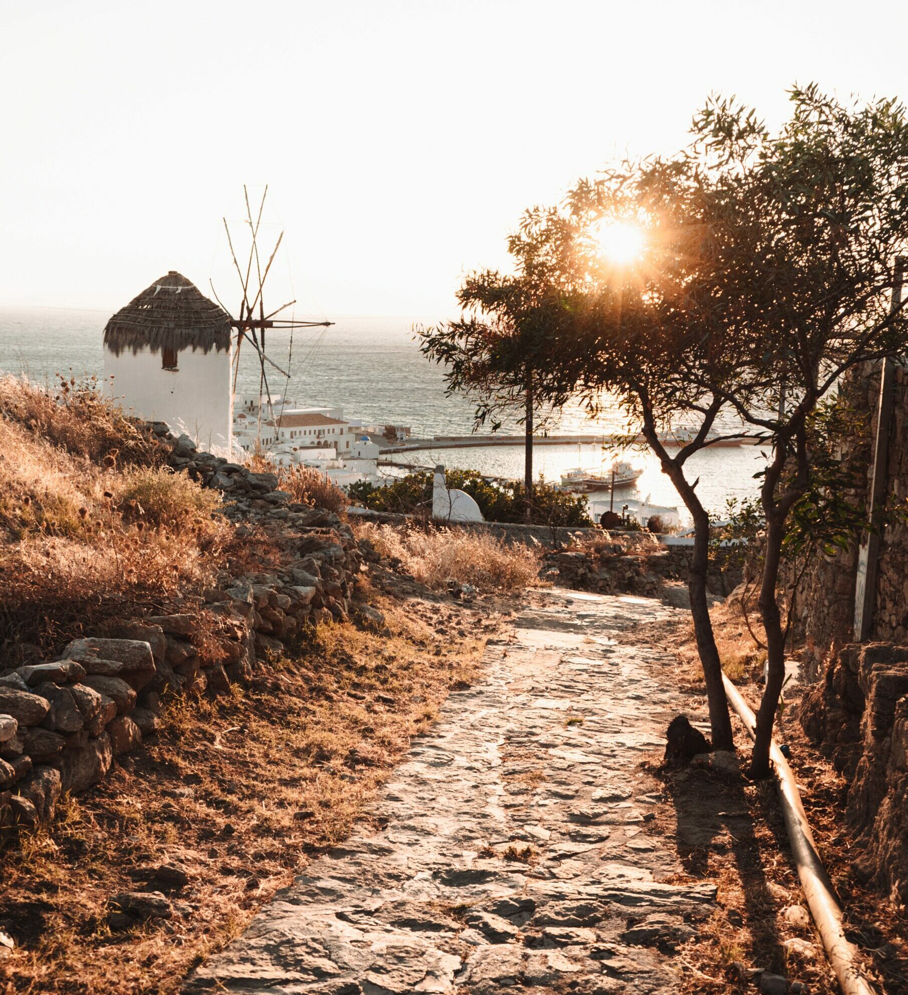 pexels-alexandros-mitsis-4773679